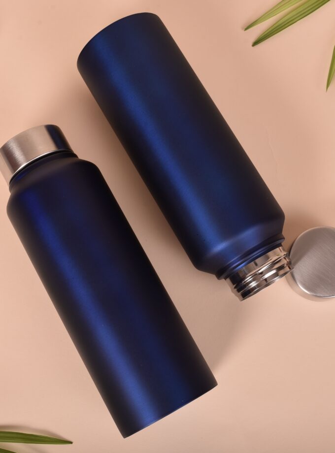 Stainless Bottle
